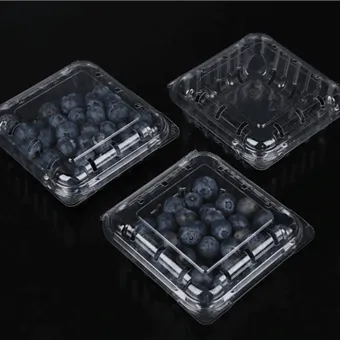 التعبئة والتغليف عنبية صدفي قطع الفاكهة الطازجة صندوق التعبئة والتغليف الفاكهة التعبئة والتغليف حاوية الفاكهة عنبية صدفي