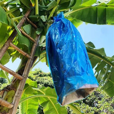 كيس بلاستيك أزرق من البولي إيثيلين ذو الختم الحراري لتغطية مجموعة الموز 20-200 ميكرون